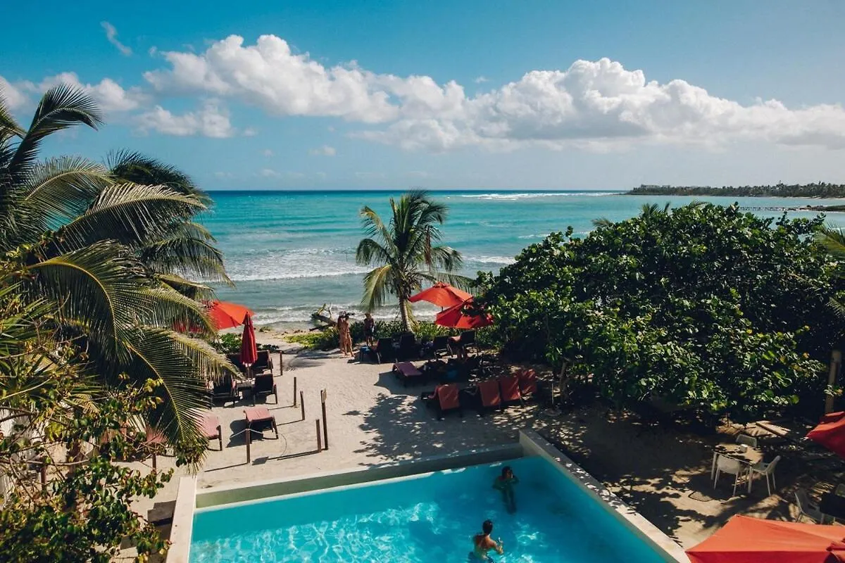 Lejlighed Serene Jungle Villa -Steps From The Ocean Akumal Mexico
